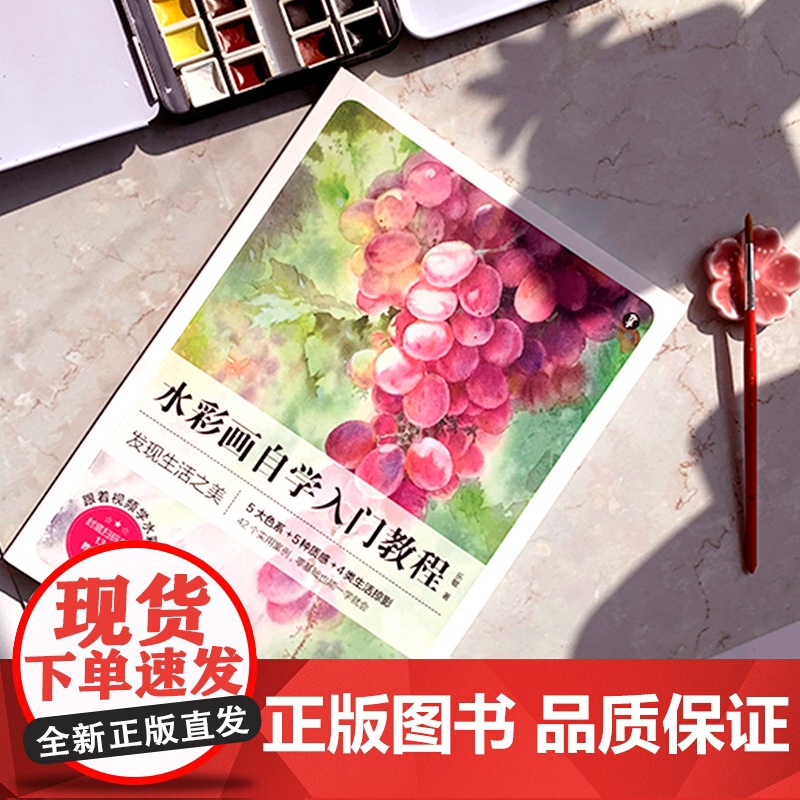 水彩画自学入门教程高清大图