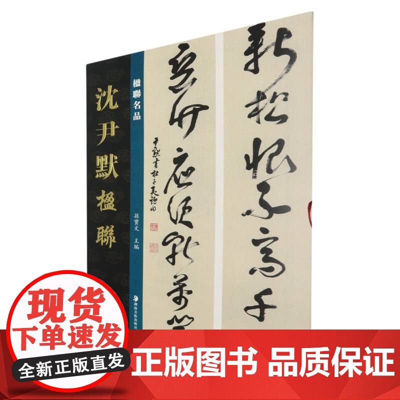 楹联名品-沈尹默楹联 孙宝文 编 艺术 美术作品 绘画高清大图