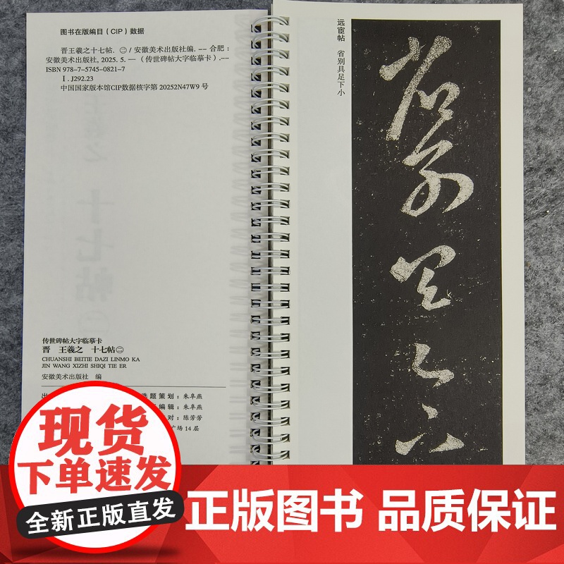 十七帖 传世碑帖大字临摹卡(共244页) 译文注释繁体旁注草书毛笔字帖学生成人书法临摹古帖 安徽美术出版社高清大图