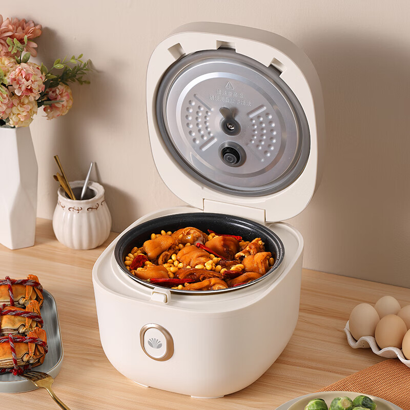 大宇(DAEWOO)家用4L容量多功能煮粥煲汤智能电饭煲DYFB-424F DYFB-424F(升级版) 4L高清大图