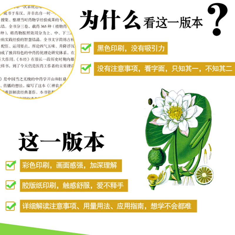 [醉染正版]神农本草经中医古籍原版原著 中医养生入门零基础理论现代人的日常食疗食养中医养生书籍 全中医四大名著伤寒杂病论高清大图