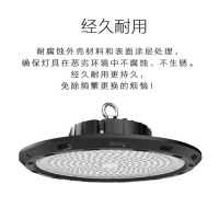 正辉(CHHI) NLC9210 100W IP65 AC220V 白光6000K LED平台灯(计价单位:个) 白色