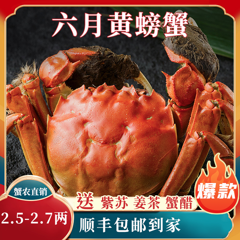 苏州大闸蟹蟹灵阁鲜活六月黄大闸蟹2.5两8只装公母随机大螃蟹鲜甜满黄直达到家死蟹包赔