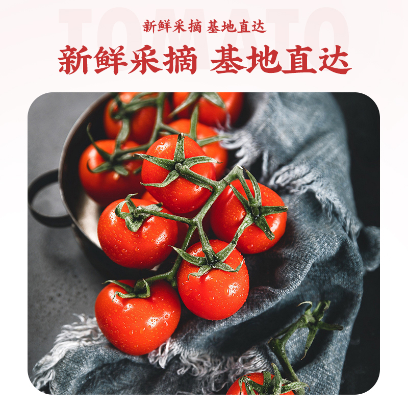 [苏宁自主品牌]苏鲜生串收番茄 198g*4盒 小番茄圣女果水果