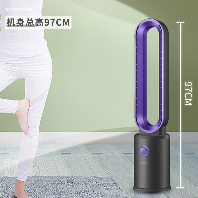 豹牌 无叶风扇 BP-XP206(烤漆)高清大图
