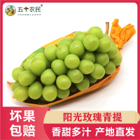 [五个农民]阳光玫瑰日本晴王无籽葡萄青提4斤一级果应季新鲜水果