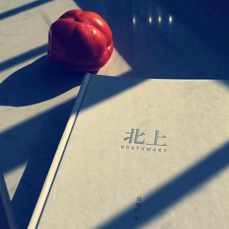 北上 徐则臣 著 文学 文轩网