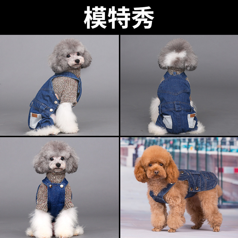 狗狗衣服泰迪春秋薄款比熊博美雪纳瑞小型犬幼犬宠物四脚春季春装