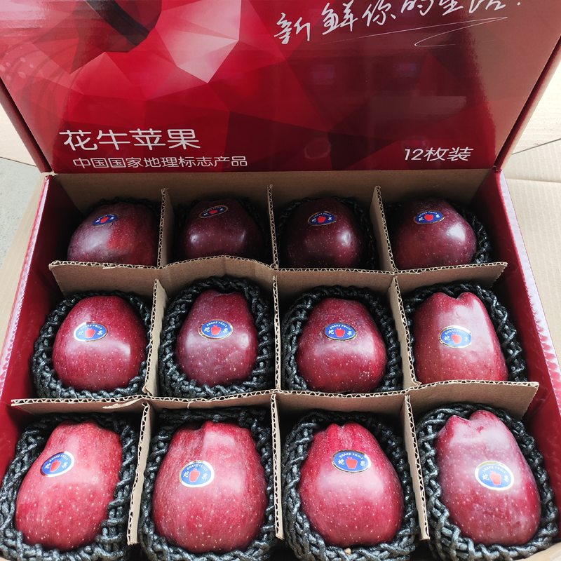 [熊猫鸟]顺丰快递 甘肃花牛苹圣诞果 蛇果 甜美可口 12枚装 新鲜水果红刮泥粉甜宝宝辅食