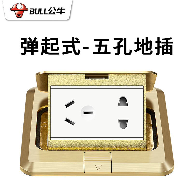 BULL公牛 GD1Z222 地插
