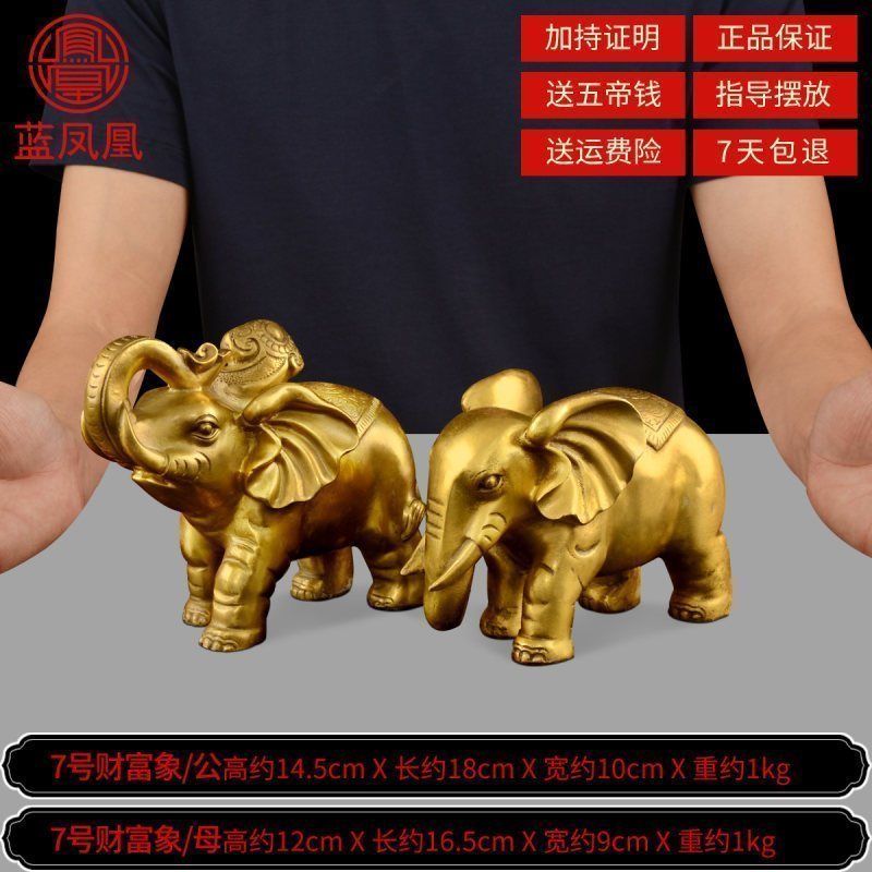 纯铜大象摆件风水象一对吸水象客厅装饰品镇宅旺事业大号 7号财富象一对_718