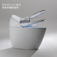 欧路莎智能马桶一体机即热式隐藏水箱全自动冲水烘干坐便器SPA-six