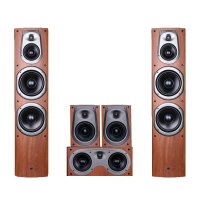 Hivi/惠威 D600家庭影院5.0家用客厅音响套装木质音箱