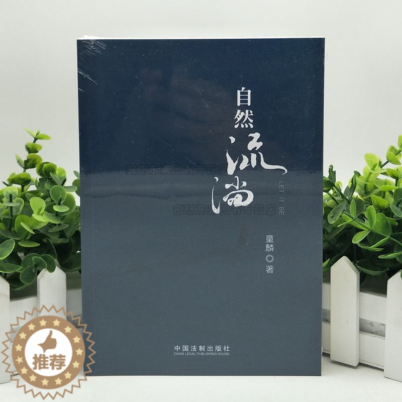 [醉染正版]自然流淌 童麟著 平装 文学回忆录 宏观了解社会进程文本9787521608137 法制出版社 正版