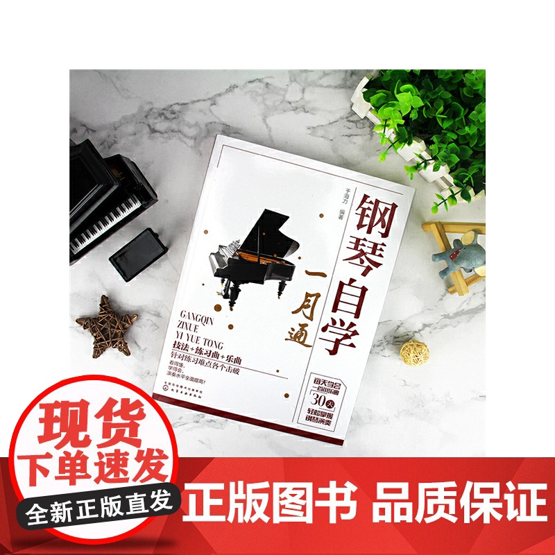 钢琴自学一月通 于海力 化学工业出版社 正版书籍高清大图