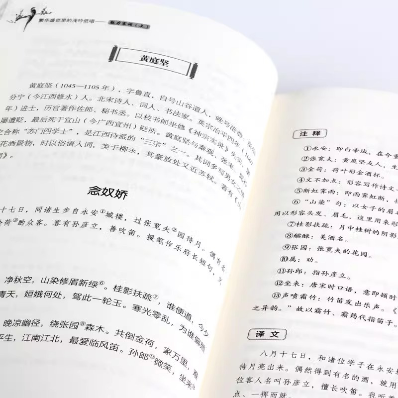 魅力宋词(全2册) [正版] 全2册魅力宋词繁华盛世里的浅吟低唱 诵读经典趣赏古文中国古诗词鉴赏赏析诗词古代词赋歌书