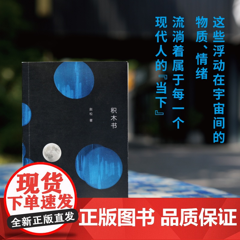 亲签版]积木书 收获文学排行榜 豆瓣年度榜单 单向街书店文学奖入选作家赵松代表作品数百个短章还原当代人的时时刻刻 中信出高清大图