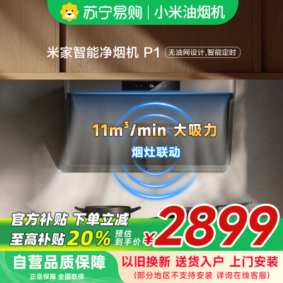 米家智能净烟机P1-CXW-165-MJ04CY