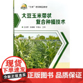 大豆玉米带状复合种植技术王应秀，张珊珊，许敬山 主编 中国农业科学技术出版社978751166771技