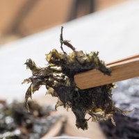 盛耳 紫菜30g 无沙紫菜海笞煲汤 紫菜包饭海产品深海海鲜干货特产