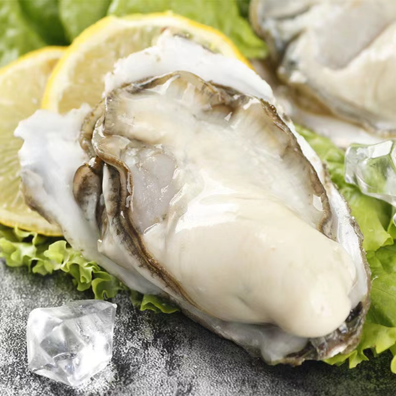 顺丰速运希悦海鲜山东乳山生蚝带箱5斤3xl号2035只鲜嫩肥妹新鲜打捞