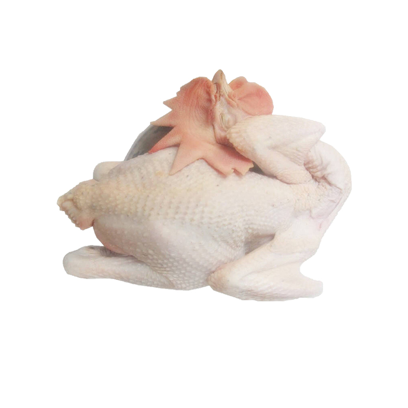 二黄公鸡1只整鸡约125kg退毛留内脏新鲜鸡肉ci