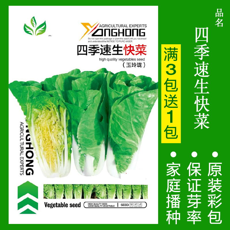 【补贴10%】8424麒麟无籽美都西瓜种籽大全种子水果瓜小南方蔬菜苗秧种孑阳台 四季速生快菜约500粒 均码