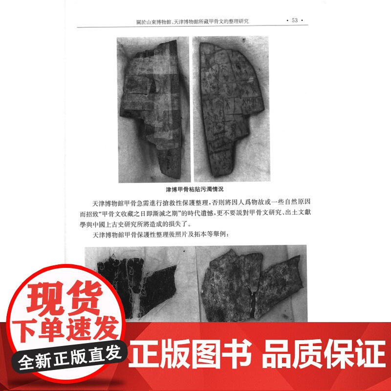甲骨文与殷商史(新十辑)中国社会科学院甲骨学殷商史研究中心集刊宋镇豪编上海古籍出版社中国古代文明研究考古历史研究文献研究高清大图