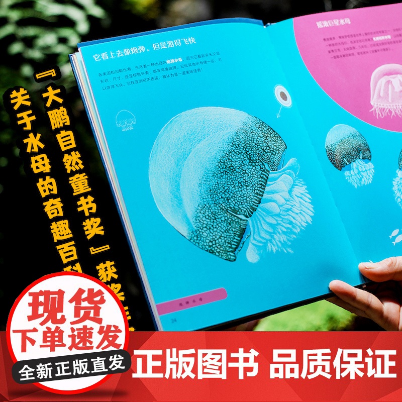 水母花园 宝拉·维塔利著国际大奖科普作品少儿科学绘本启蒙百科全书恐龙海洋动物儿童趣味科普绘本水母自然史科普书籍 译林出版高清大图