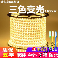 led双排灯带高亮灯条三色变光220v客厅吊顶装饰照明户外防水光带