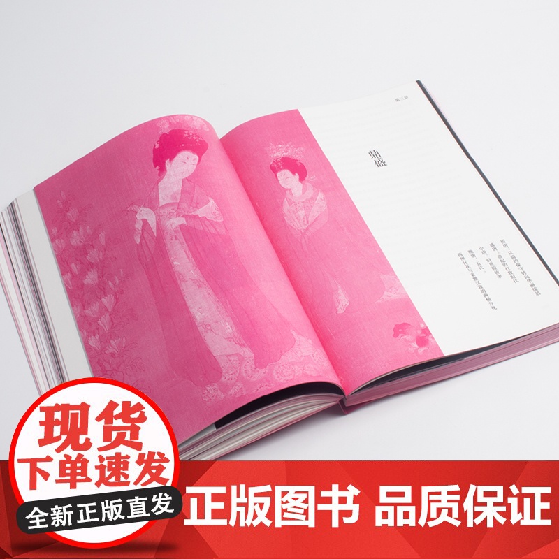 中国妆容之美 李芽,陈诗宇 著 轻工业/手工业专业科技 正版图书籍 湖南美术出版社高清大图