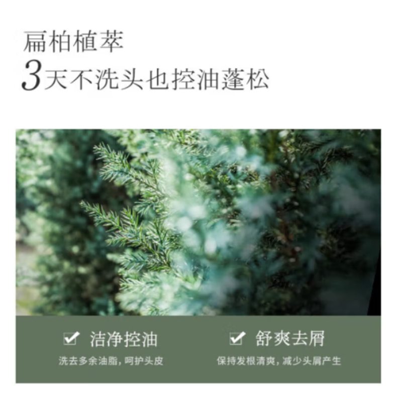 浅香 日本扁柏氨基酸洗发水500g