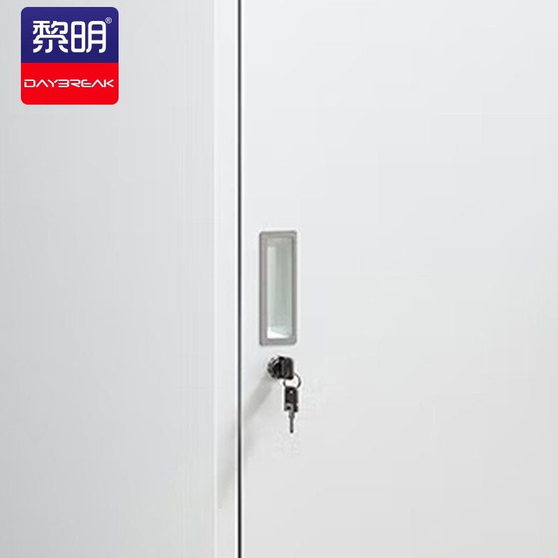 黎明文件柜办公储物柜矮柜子250*600*635mm