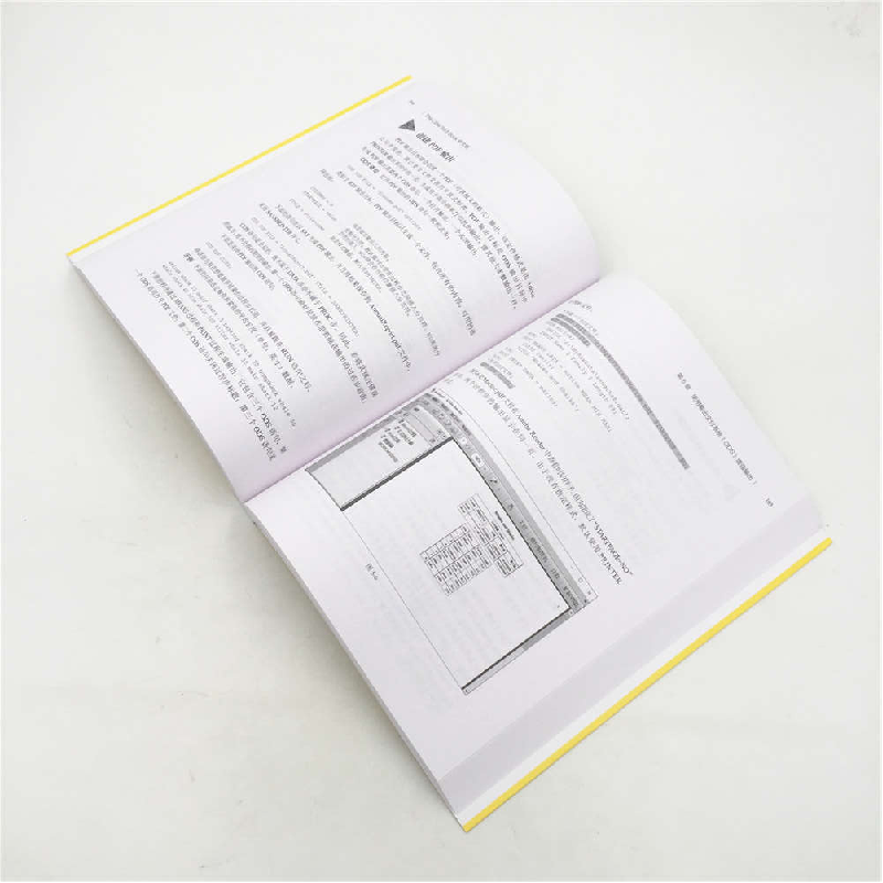 正版新书]The Little SAS Book中文版(第5版)小小SAS翻译组978高清大图