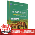 马匹护理技术