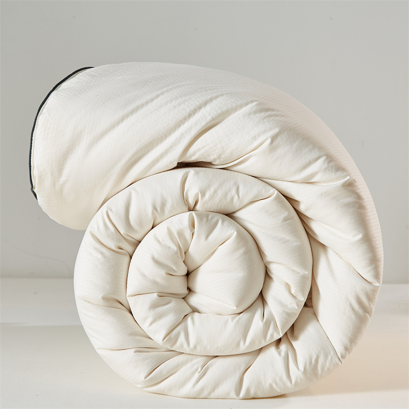 家居/日用/厨具>家纺>被子>南方生活>南方生活被子>