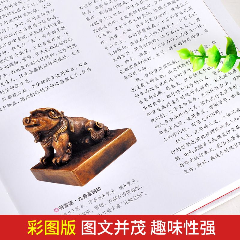 [正版]玉玺篆刻鉴赏全套2册 精装彩色铜版中国玺印篆刻通史聚珍古玺印图典印章印谱大图示君匋艺术院藏三家名印二百品中国书高清大图