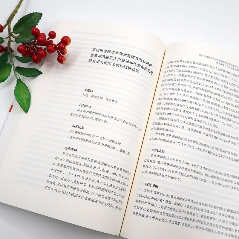 醉染图书法律适用与司法政策审判指导与参考9787519700270高清大图