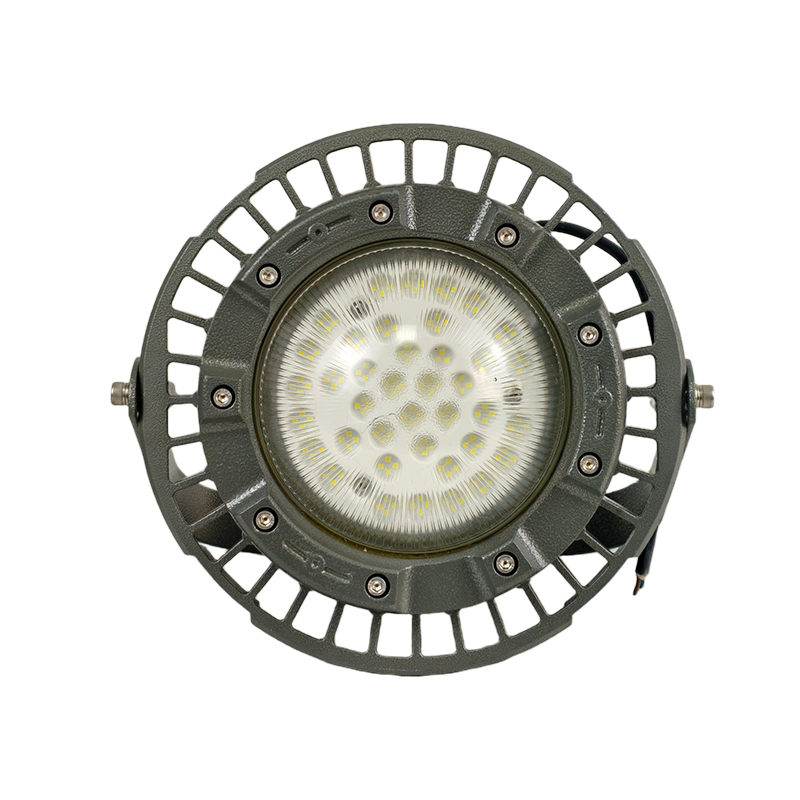 OHUIZAOMIN LED防爆灯 OHBF8236-100W(含安装) 个高清大图
