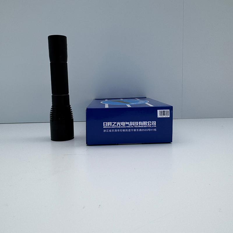 RECEN 强光巡检手电筒 RSC8012 个高清大图