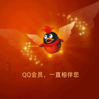 QQ会员一年QQ会员包年QQ会员12个月年费15点成长可查时间自动充值