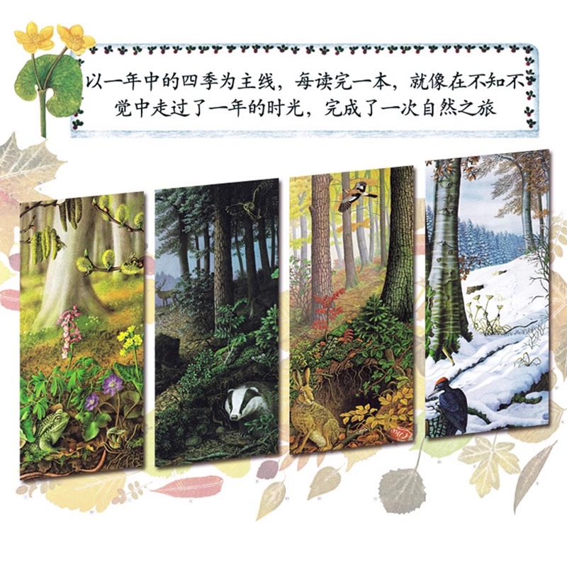 [6册]四季时钟 第二辑 [正版]四季时钟系列第二辑全套6册乌纳雅各布绘本花园大地草地树木蝴蝶森林时钟药草小学生三四年级高清大图