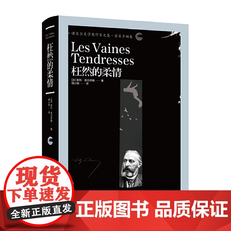 枉然的柔情 苏利?普吕多姆 漓江出版社 正版书籍高清大图
