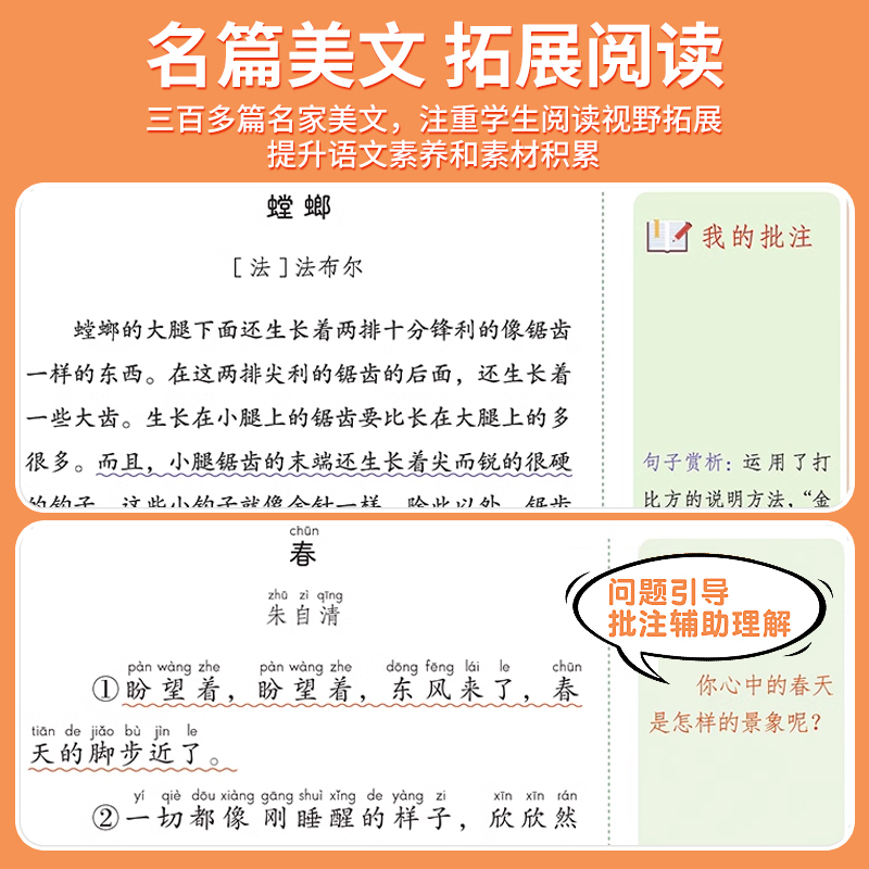 [2本]阅读理解+练字帖 六年级下 [正版]大语文阅读理解专项训练书人教版阅读理解强化训练题每日一练一二年级三年级四五六
