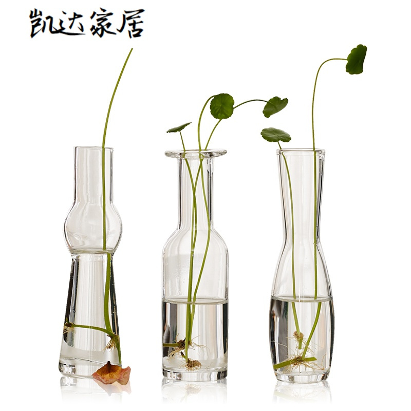 创意北欧 小小迷你花瓶玻璃透明花器 桌面阳台水培插花工艺品摆设 精选特买