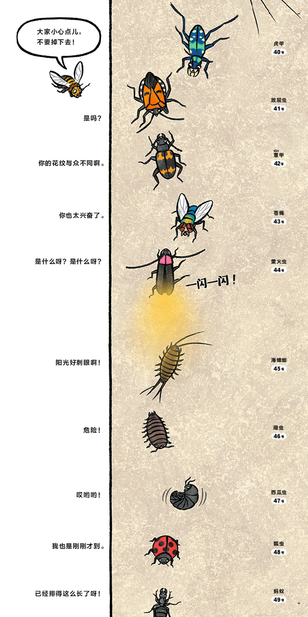 [醉染正版]它们在排什么队儿童绘本精装蒲蒲兰幼儿昆虫认知科普知识启蒙早教书籍亲子共读2-3-4-6岁幼儿园宝宝睡前故事书高清大图
