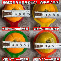 [苏鲜生]四川青见柑橘 新鲜水果 净重5斤装 中果装 果径65-75mm 当季水果 西沛