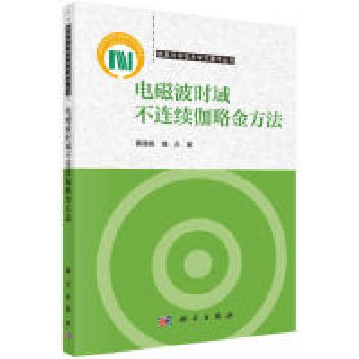 11电磁波时域不连续伽略金方法978703060090522