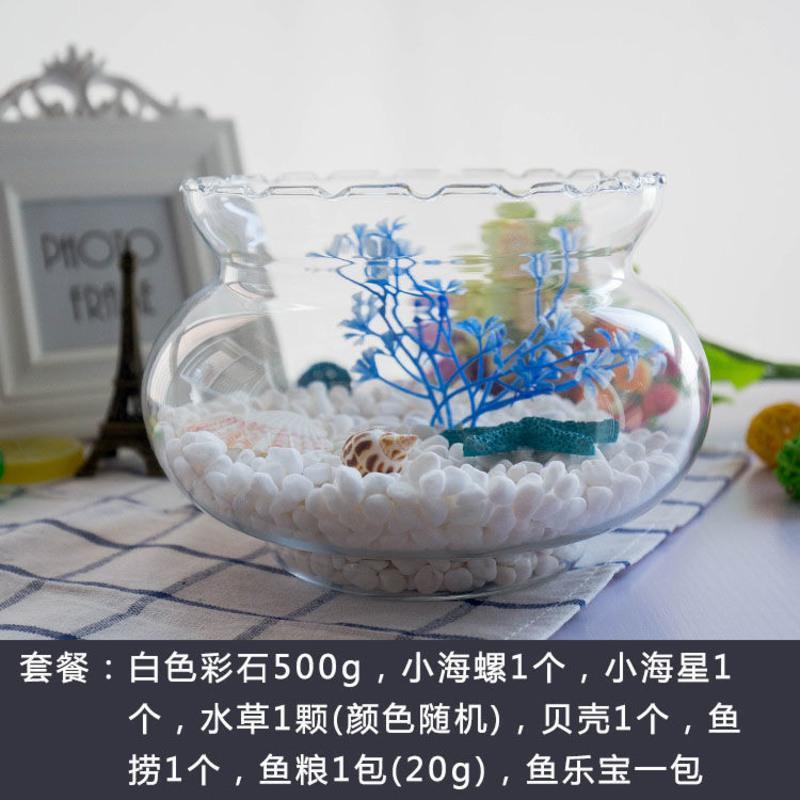 创意花边小鱼缸桌面造景玻璃迷你鱼缸圆形金鱼缸水培花瓶乌龟缸 16号裸缸(买一送三)