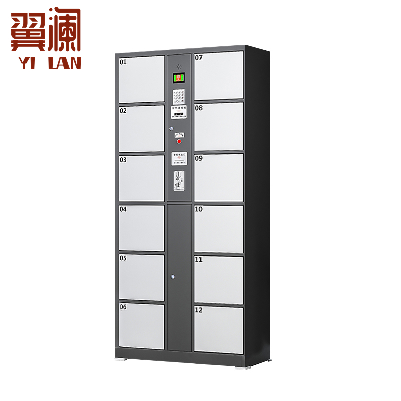 翼澜 电子存包柜12门台高清大图